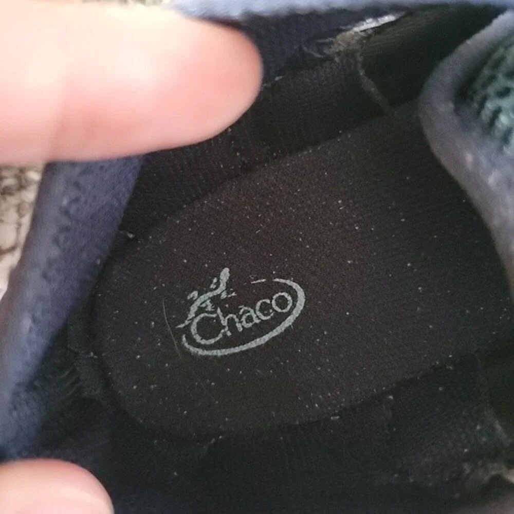 Chaco kid outcross